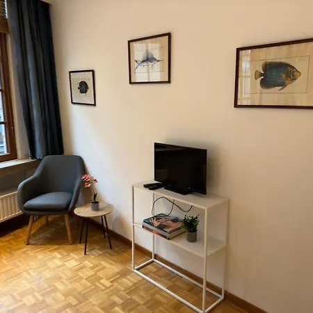 Two Bedroom Loft In The Center By The Meir Antverpy