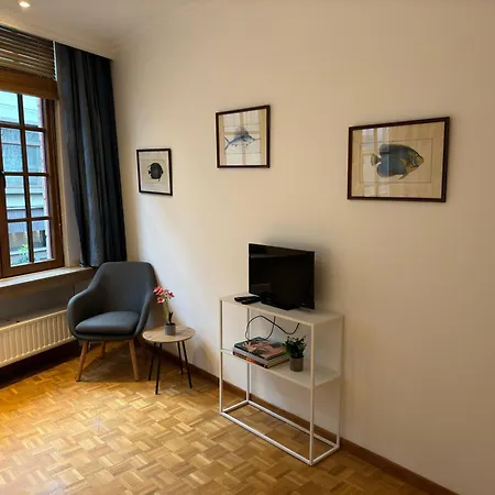 Two Bedroom Loft In The Center By The Meir * אנטוורפן